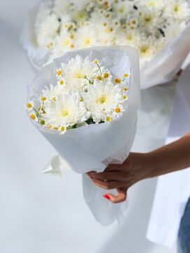 Букет-мини «Летняя свежесть» с хризантемой и танацетумом
